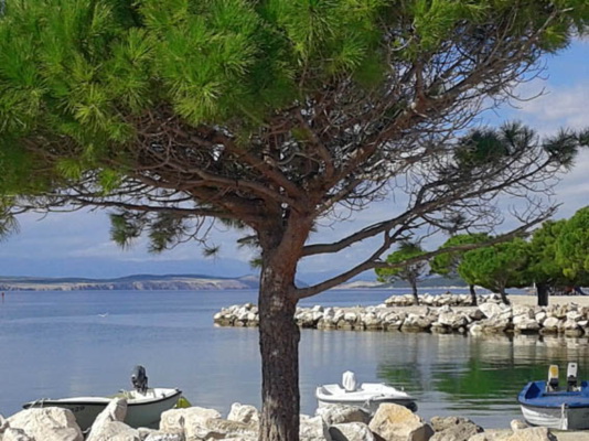 Accommodation Crikvenica